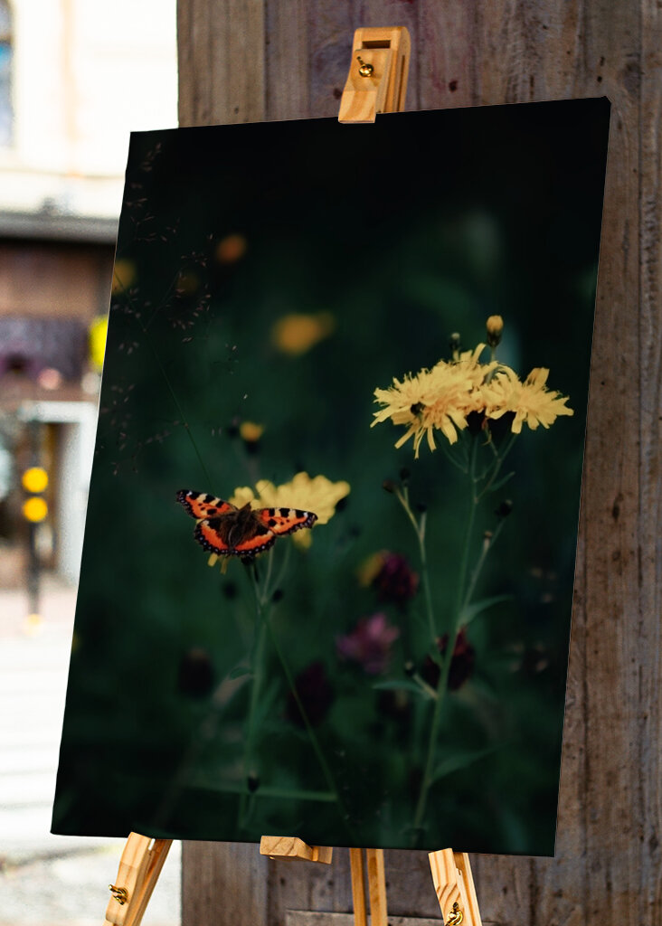 The butterfly on the flower 