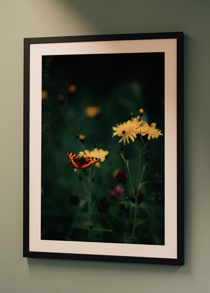 The butterfly on the flower 