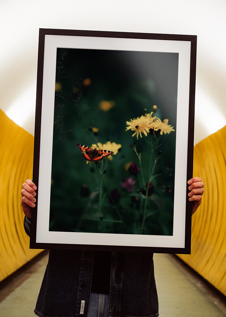 The butterfly on the flower 