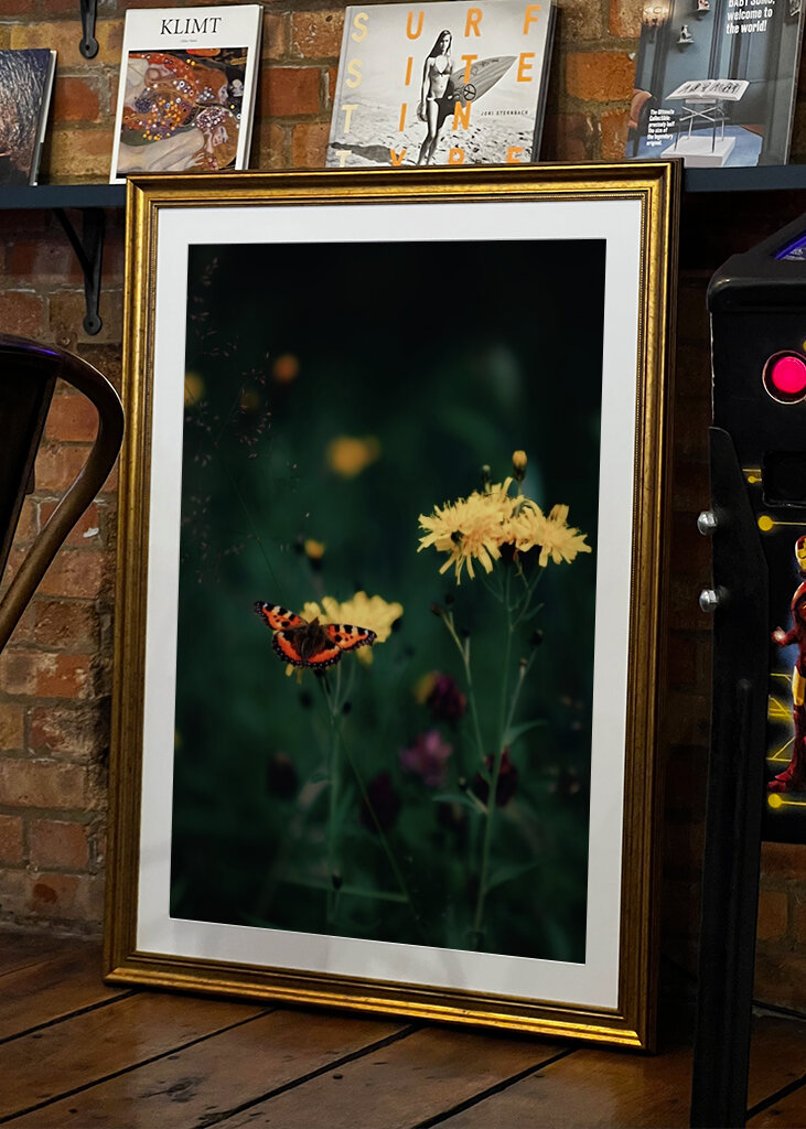 The butterfly on the flower 