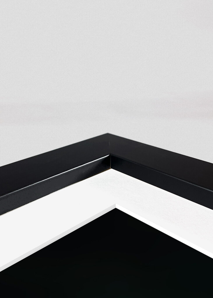 The butterfly on the flower 