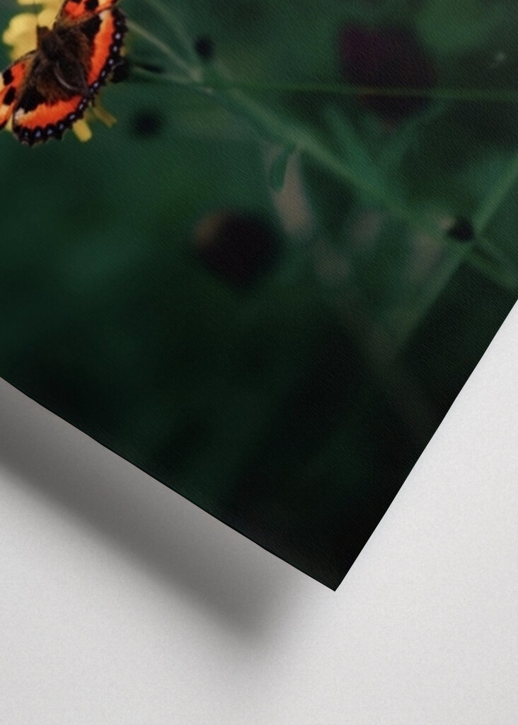 The butterfly on the flower 