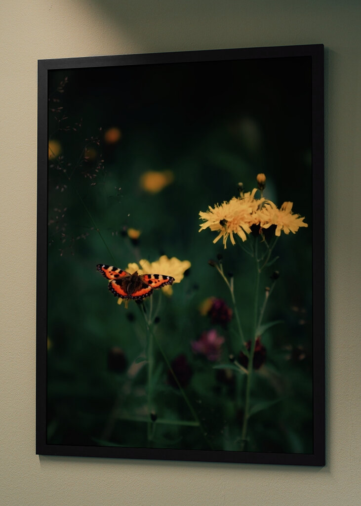 The butterfly on the flower 