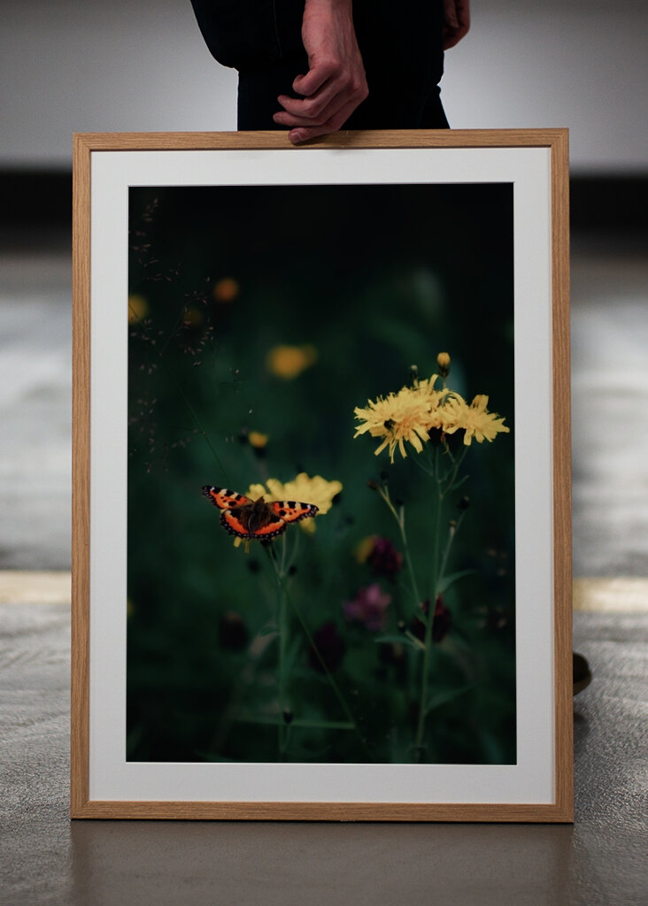 The butterfly on the flower 