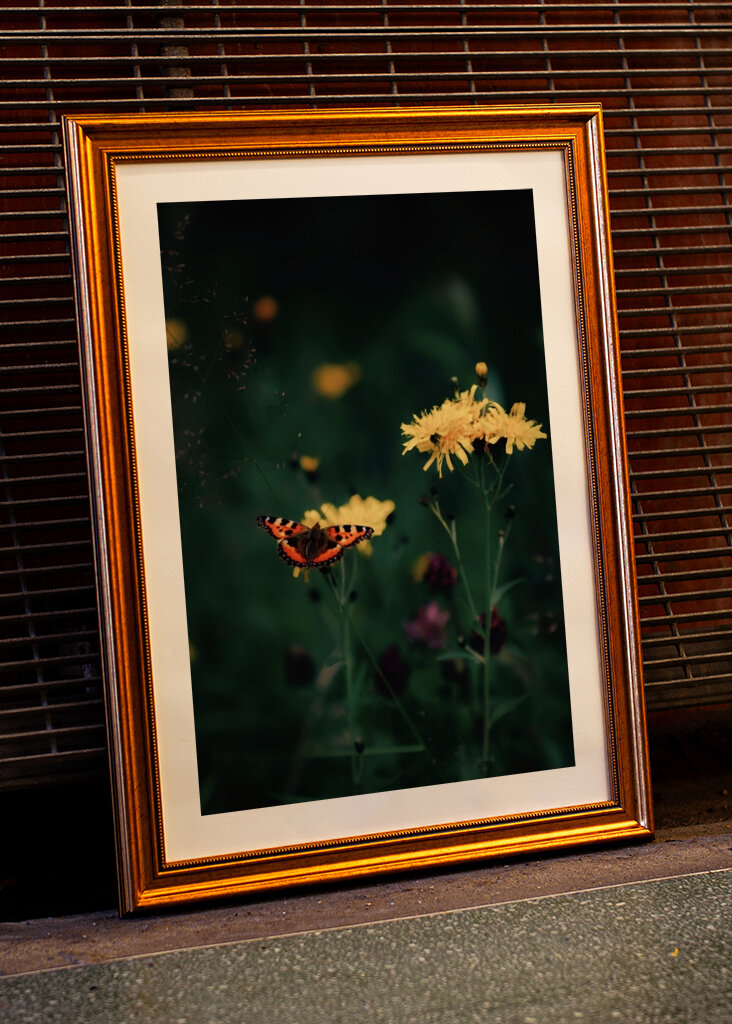 The butterfly on the flower 