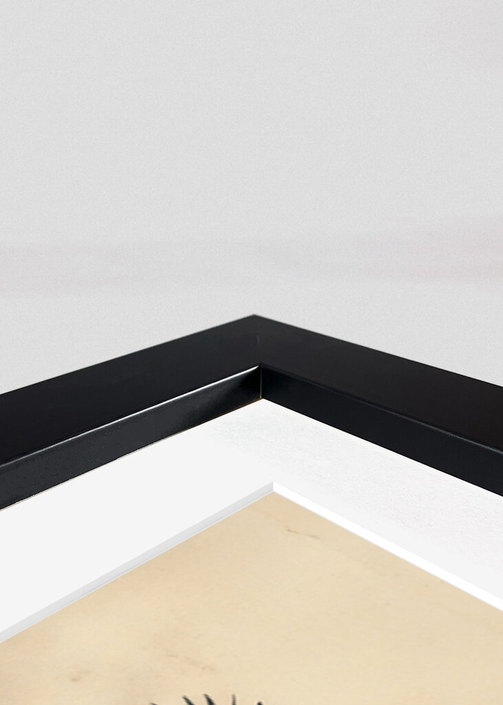 Traner ved solopgang