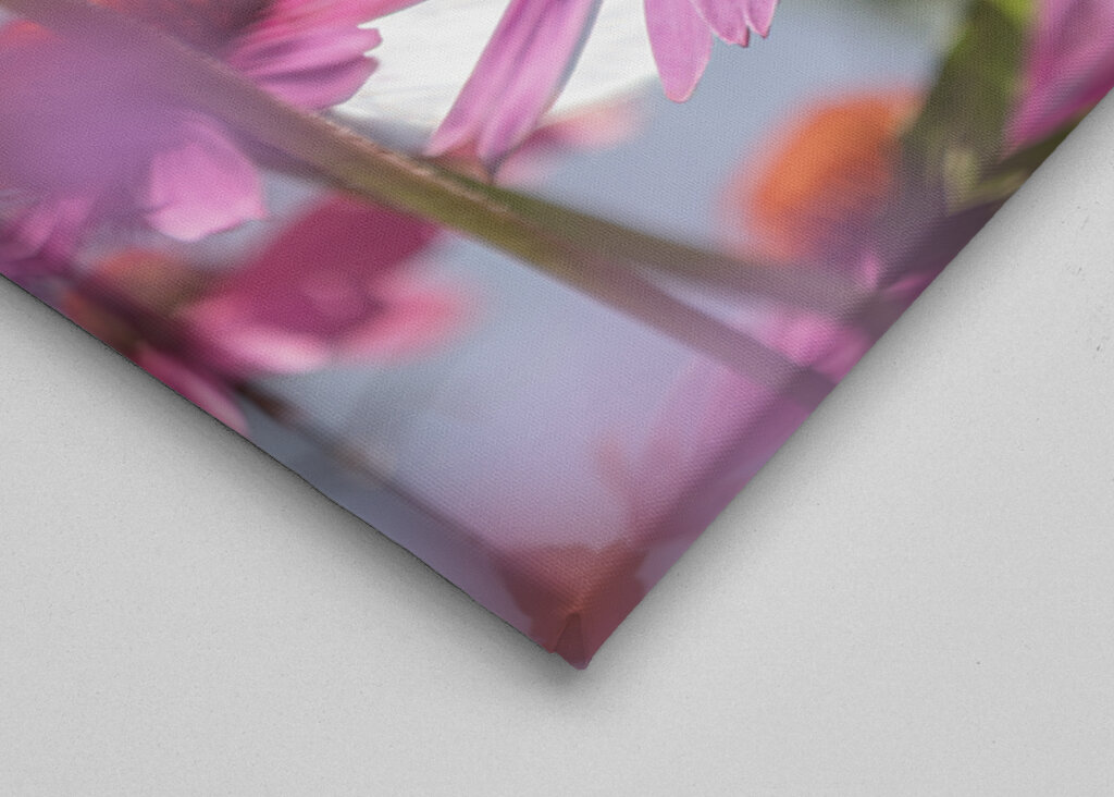 Schmetterling auf einer Blume