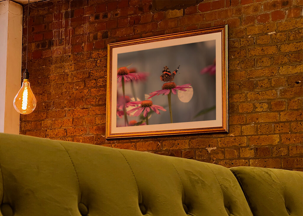 Schmetterling auf einer Blume