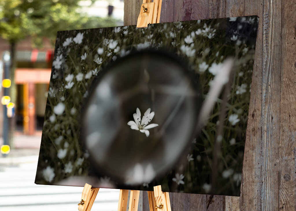 Blume im Vergrößerungsglas