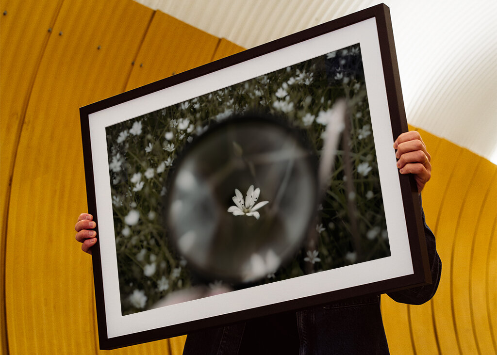 Blume im Vergrößerungsglas