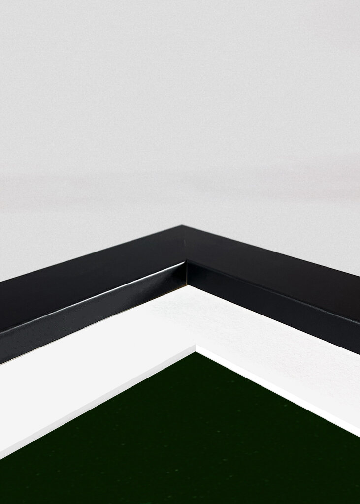 Sabrina Carpenter Pop Art