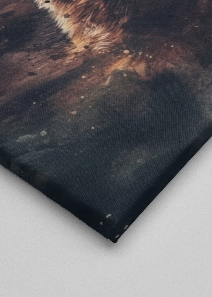 Roaring Grizzly Bear