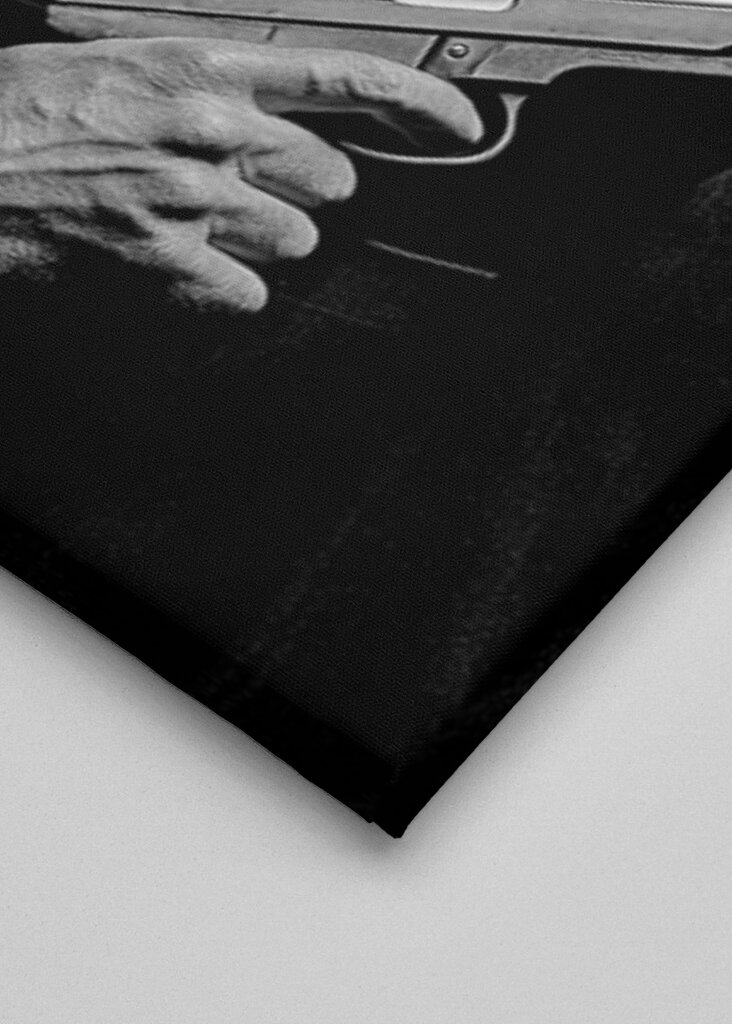 Titokzatos dobermann fegyverrel