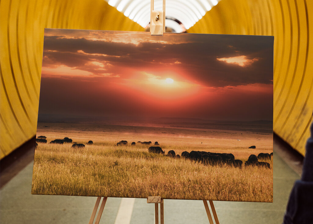 Sunset over Masai Mara