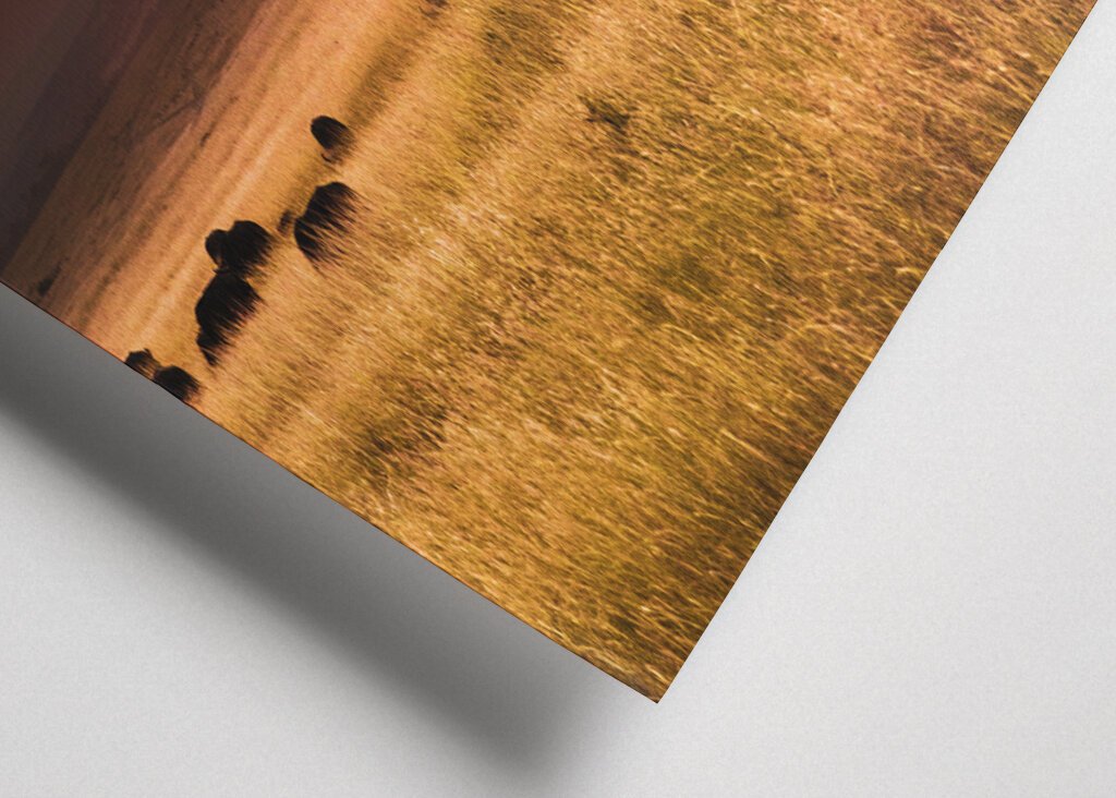 Sunset over Masai Mara