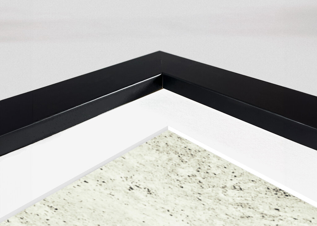 Zebras fighting on the savanna