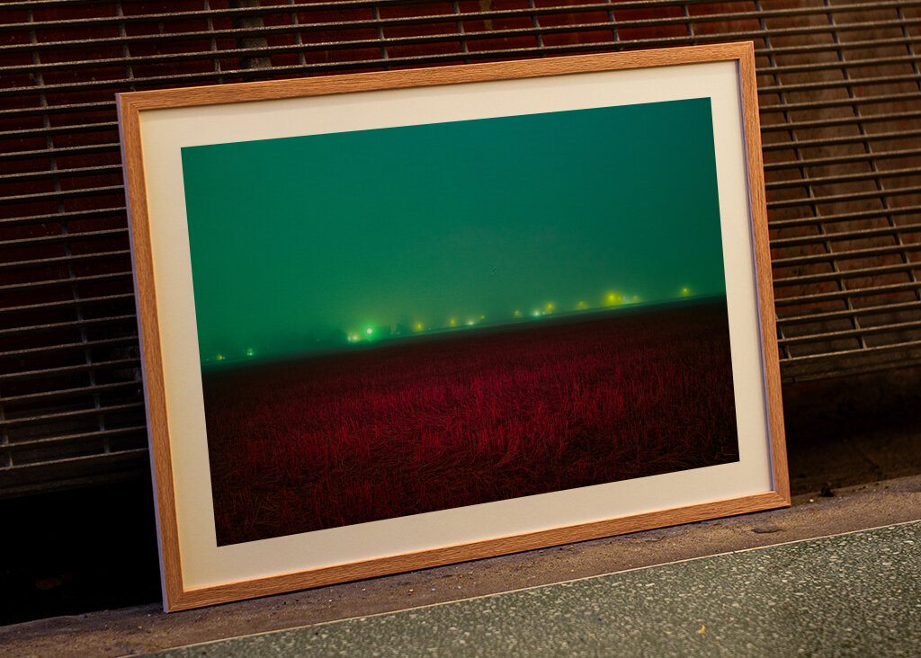 Red field under blue sky