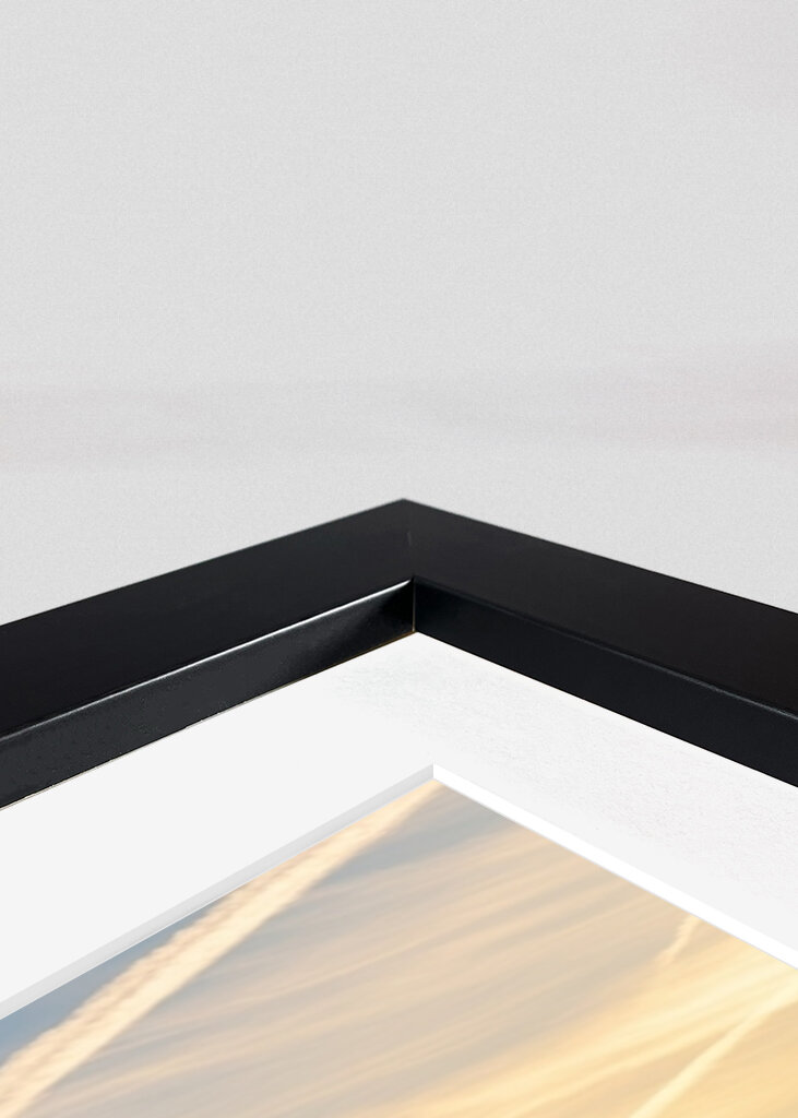 Sunrise Misty Forest Lake