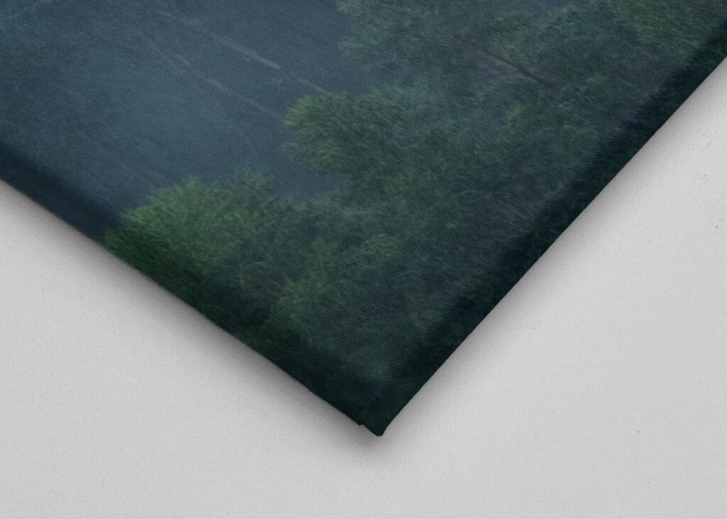 Misty Forest Portugal