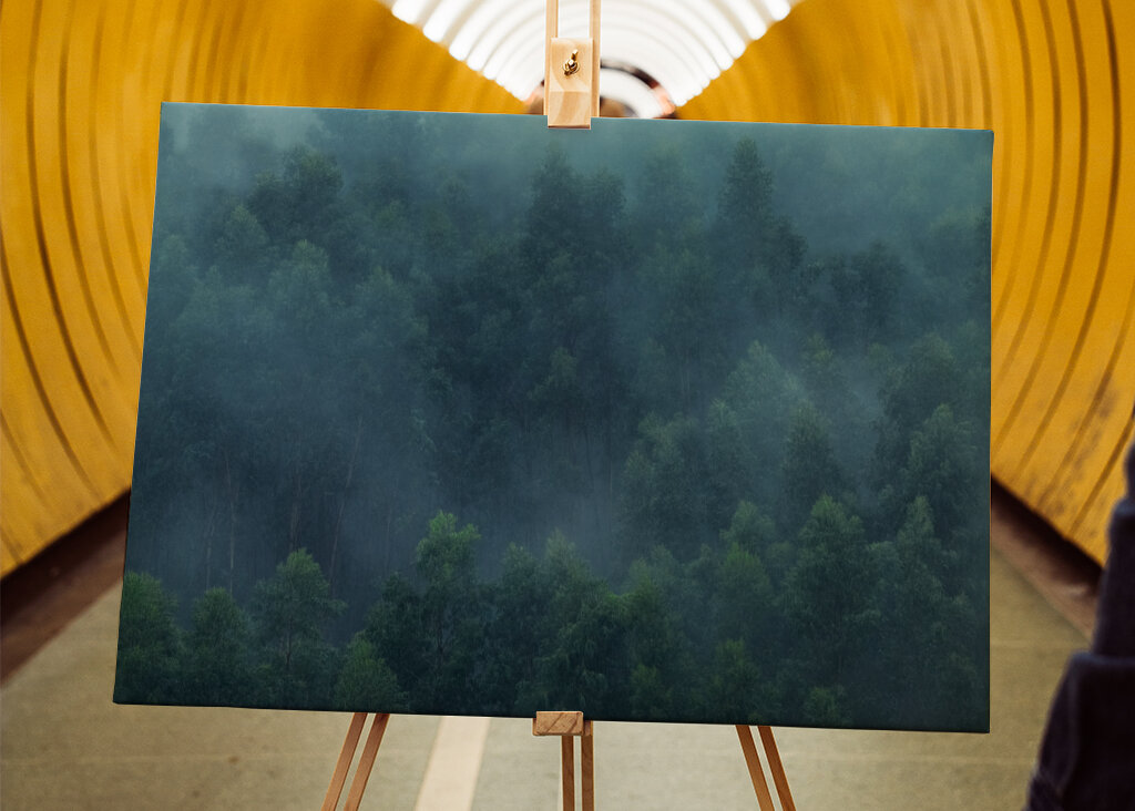 Misty Forest Portugal