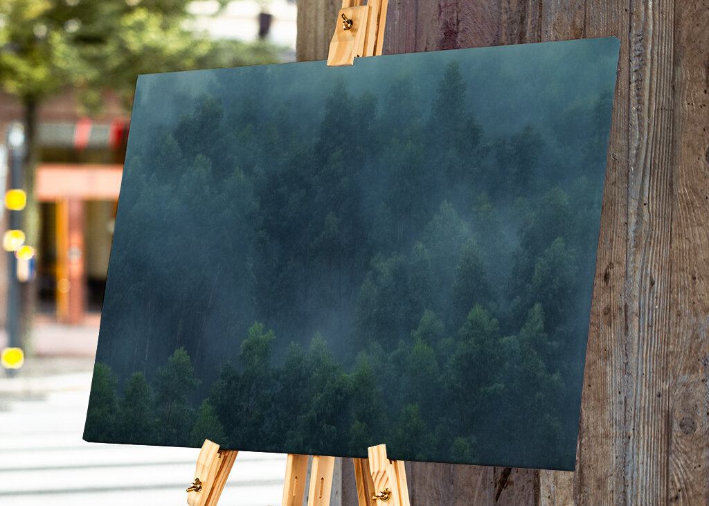 Misty Forest Portugal