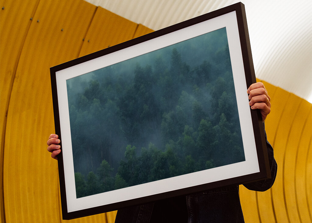 Misty Forest Portugal