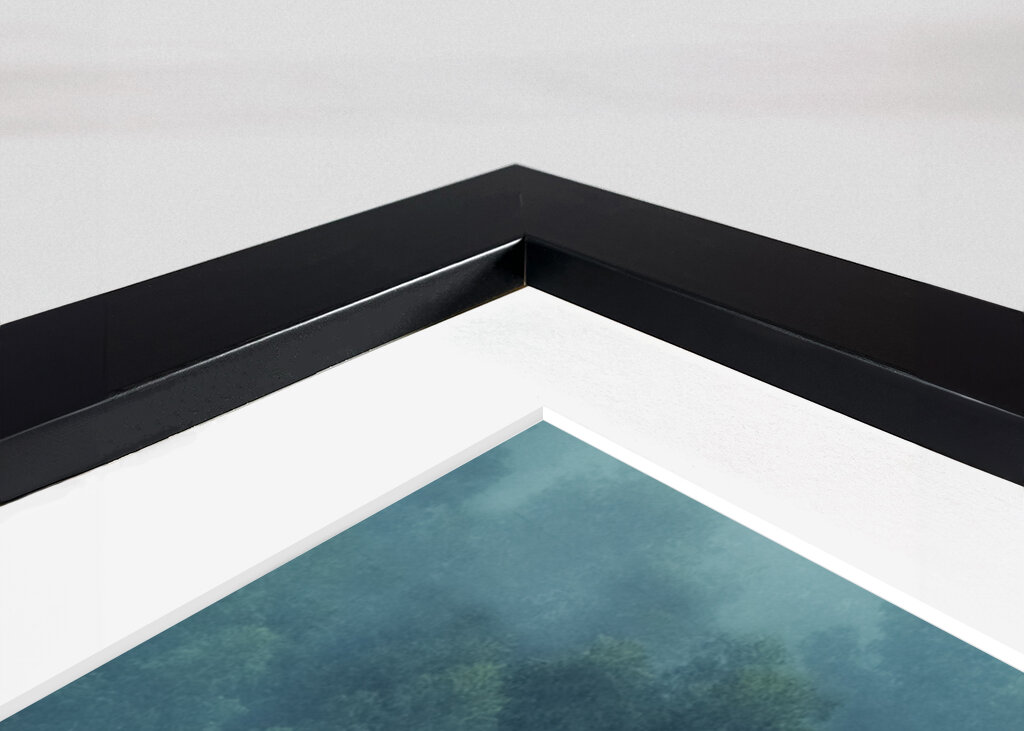 Misty Forest Portugal