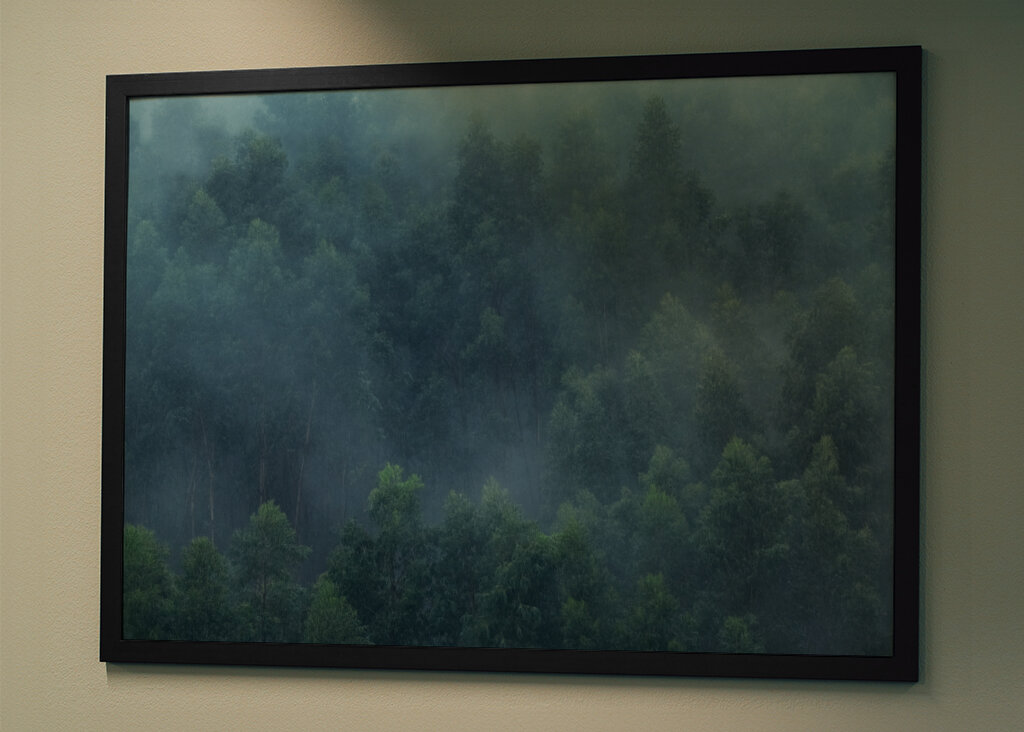 Misty Forest Portugal