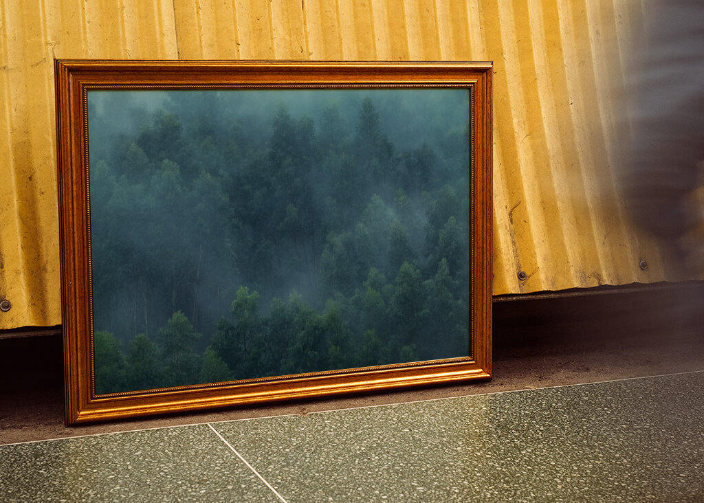 Misty Forest Portugal