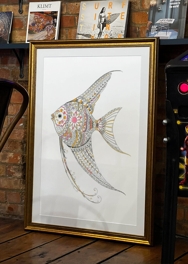 Angel Fish Delicate Tints