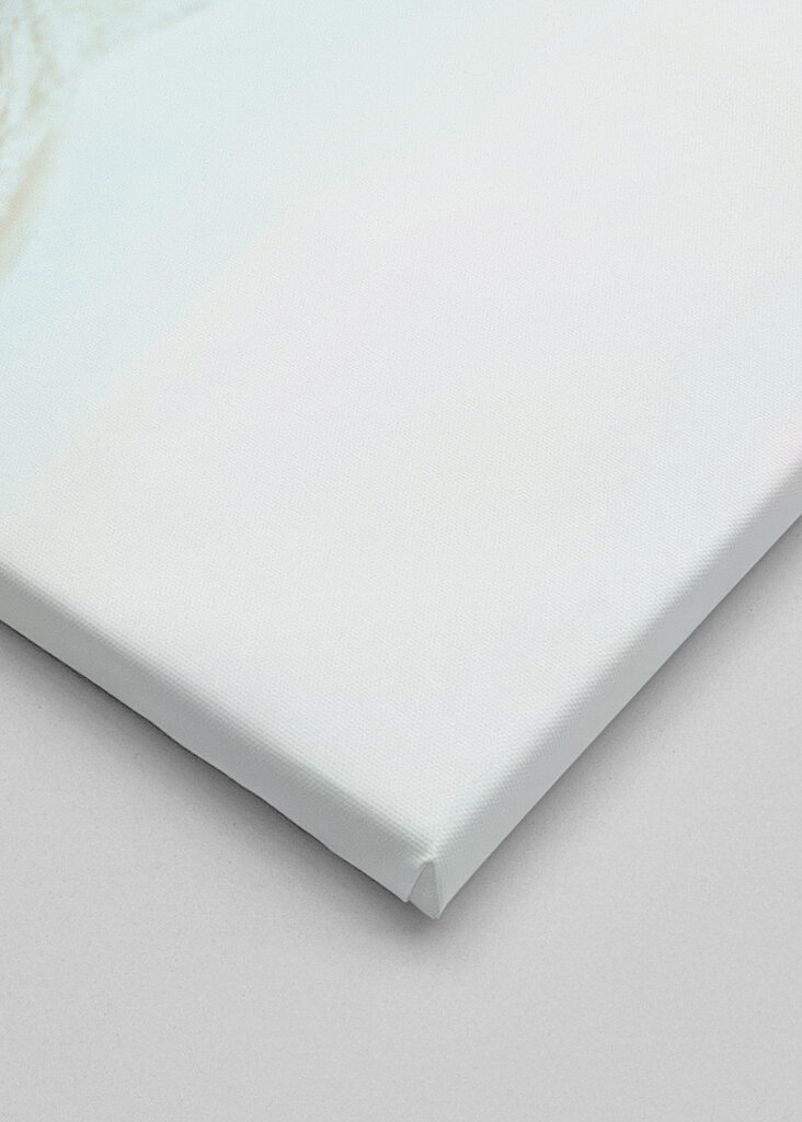 Lost Dreams - Celeste