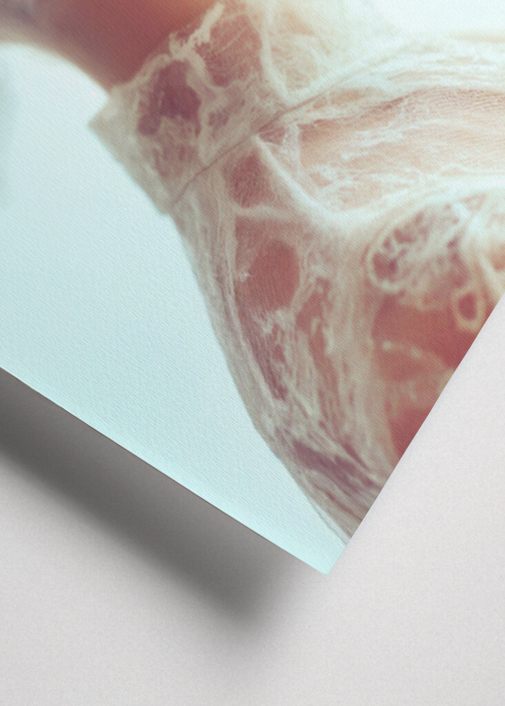 Lost Dreams - Celeste