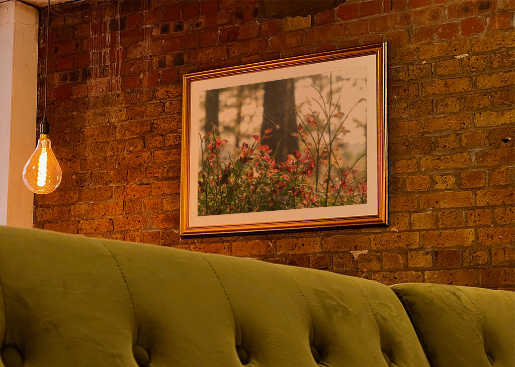 Autumn in the blueberry forest