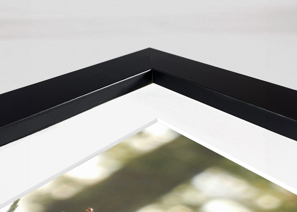 Autumn in the blueberry forest