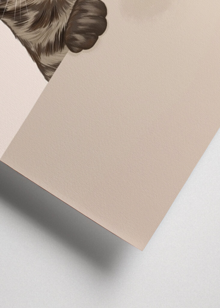 Tabby Cat with Cosmopolitan Cocktail