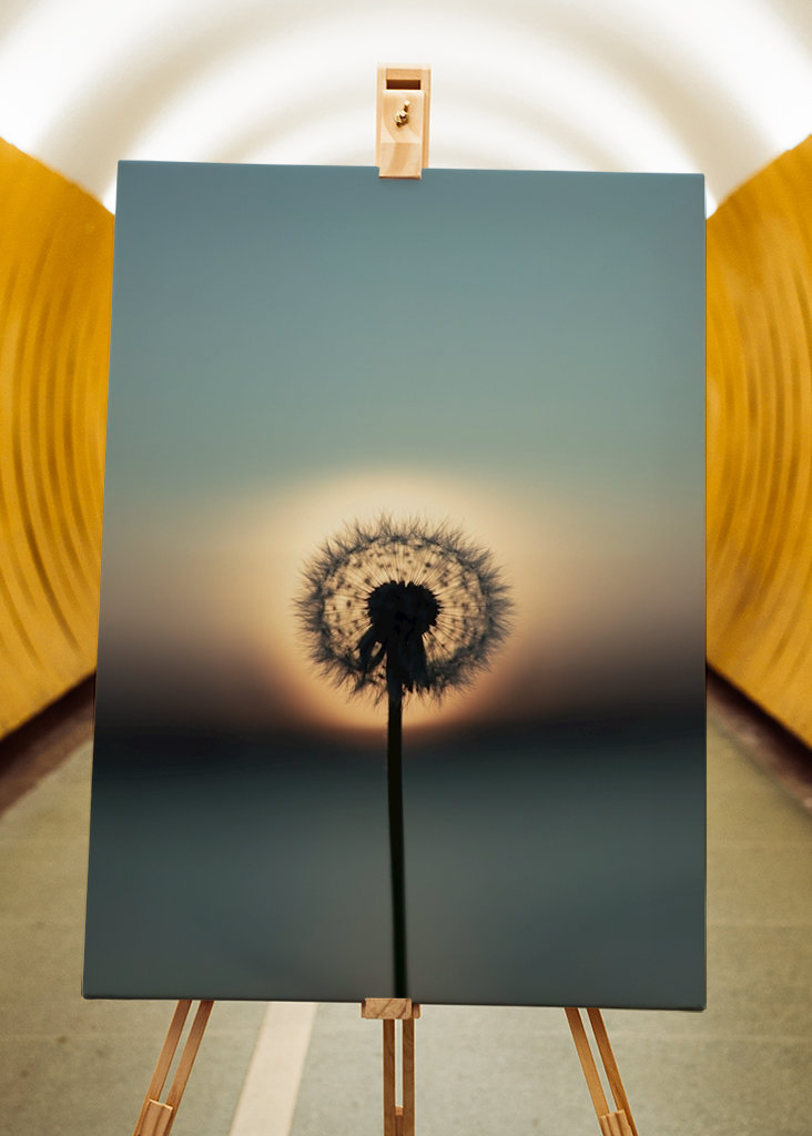 The nature of tomorrow