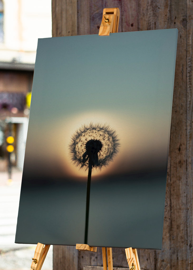 The nature of tomorrow