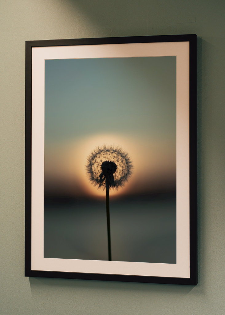 The nature of tomorrow