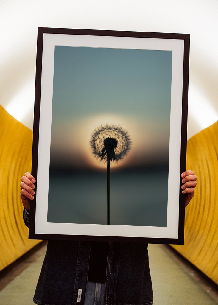 The nature of tomorrow