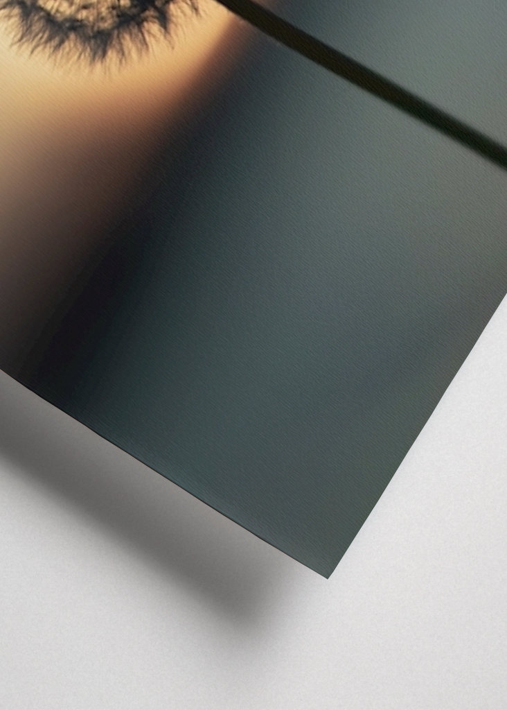 The nature of tomorrow