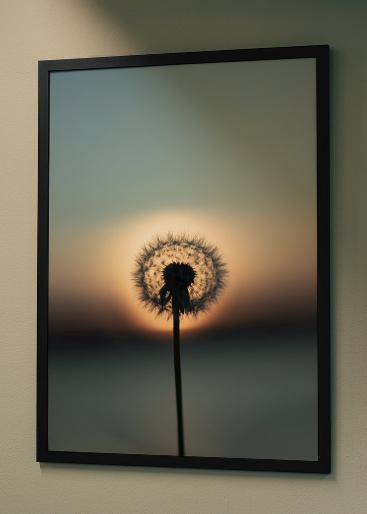 The nature of tomorrow