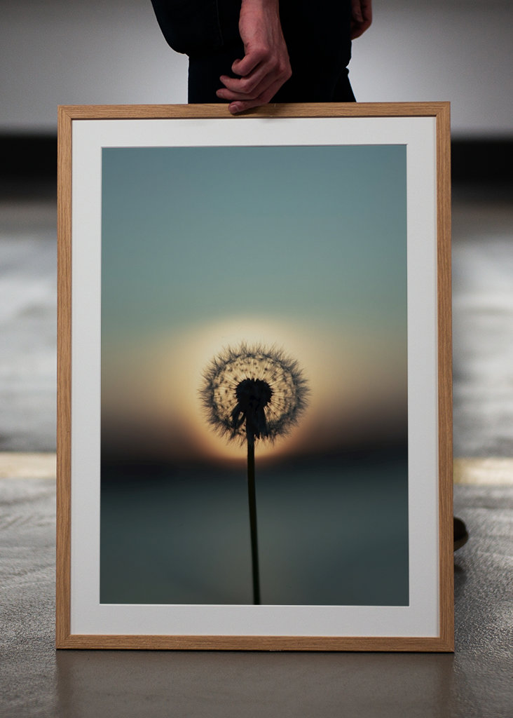 The nature of tomorrow