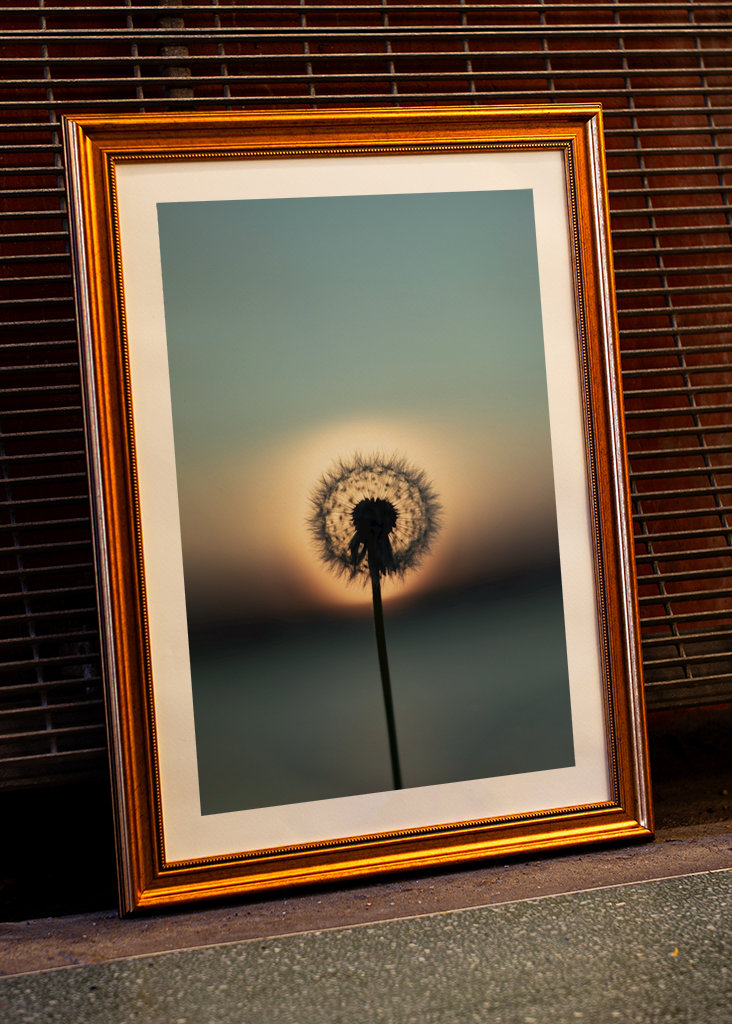 The nature of tomorrow