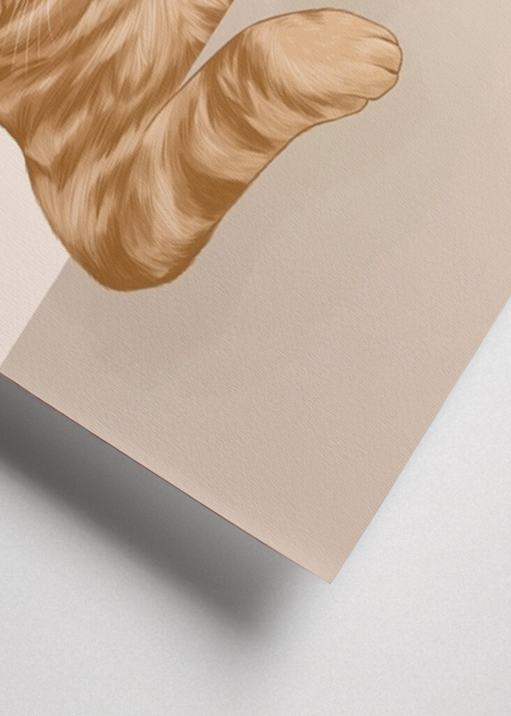 Ginger Cat with Cosmopolitan Cocktail