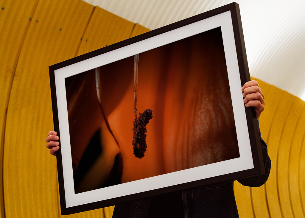 Macro shot of a vibrant orange
