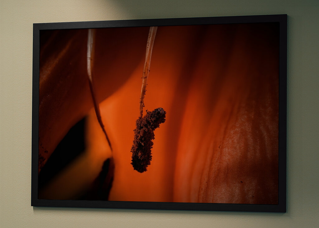 Macro shot of a vibrant orange