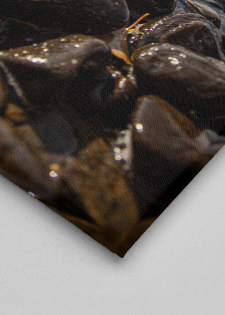 Stenig norrlandsstrand