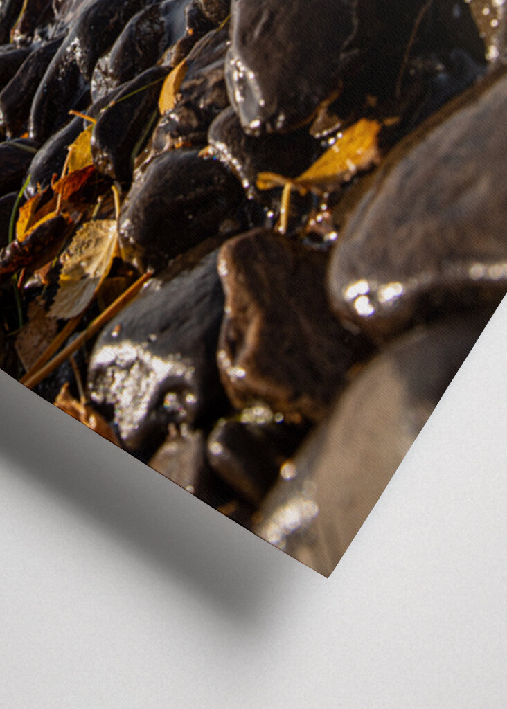 Stenig norrlandsstrand