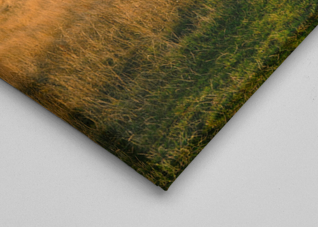 Österlen - Ale Stenar