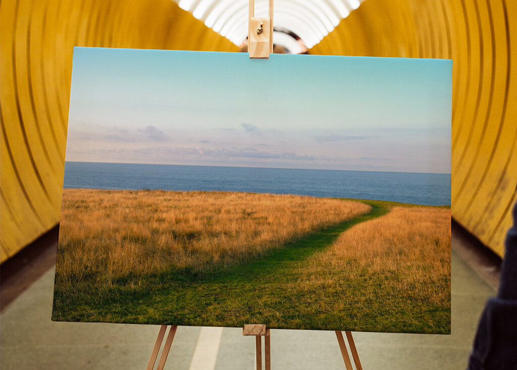 Österlen - Ale Stenar